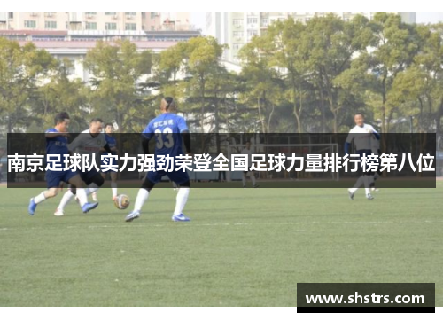 南京足球队实力强劲荣登全国足球力量排行榜第八位
