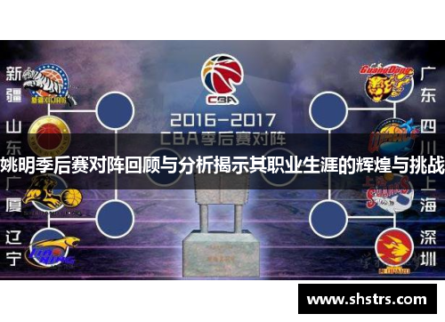 姚明季后赛对阵回顾与分析揭示其职业生涯的辉煌与挑战