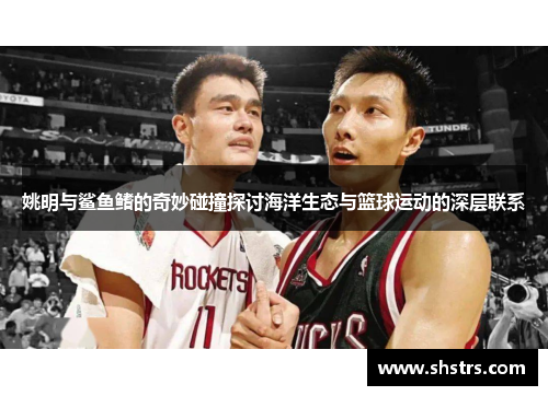 姚明与鲨鱼鳍的奇妙碰撞探讨海洋生态与篮球运动的深层联系