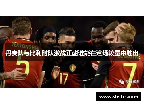 丹麦队与比利时队激战正酣谁能在这场较量中胜出