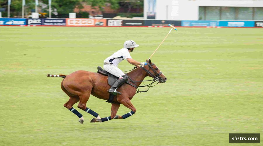 6T体育(毽舞动力)官方网站-6T Sports赛事激情，点燃你的运动 DNA！⚽️